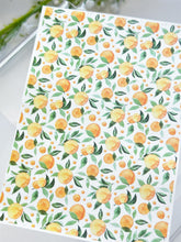 Load image into Gallery viewer, Transfer Paper 312 Oranges Watercor | Fruit Image Water Transfer