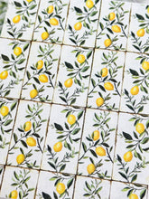 Load image into Gallery viewer, Transfer Paper 683 Olive Branch Rectangles | Image Water Transfer