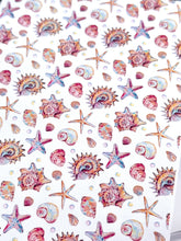 Load image into Gallery viewer, Transfer Paper 489 Seashells #4 | Image Water Transfer