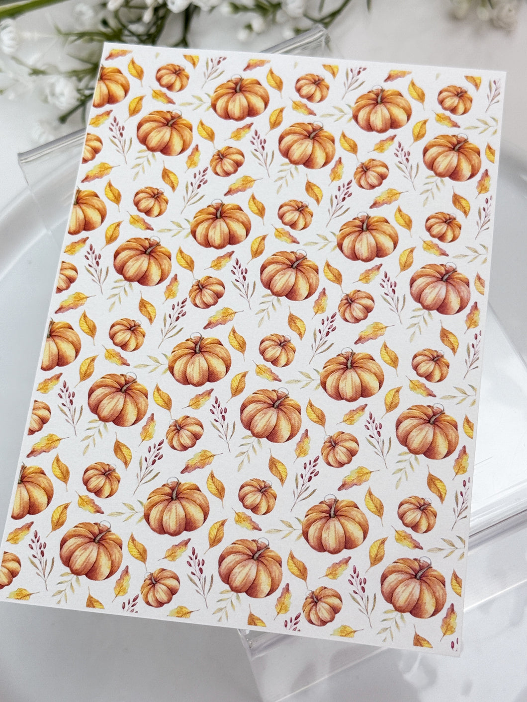 Transfer Paper Sheet 528 Pumpkins | Image Water Transfer