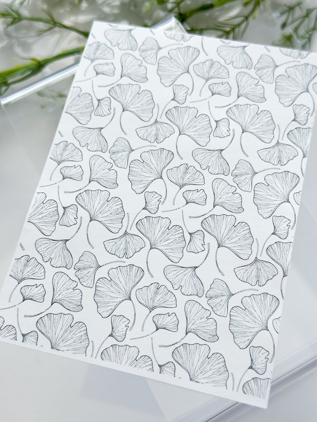 Transfer Paper 272 Ginkgo Leaves | Image Water Transfer