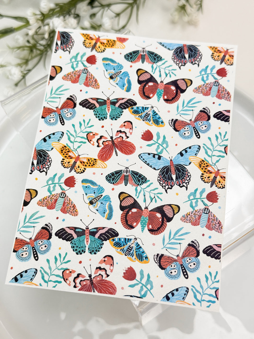 Transfer Paper Sheet 520 Butterflies | Image Water Transfer