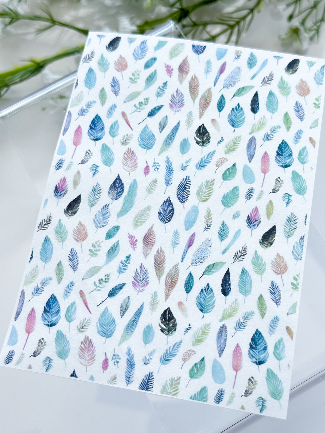 Transfer Paper 274 Colorful Feathers | Image Water Transfer