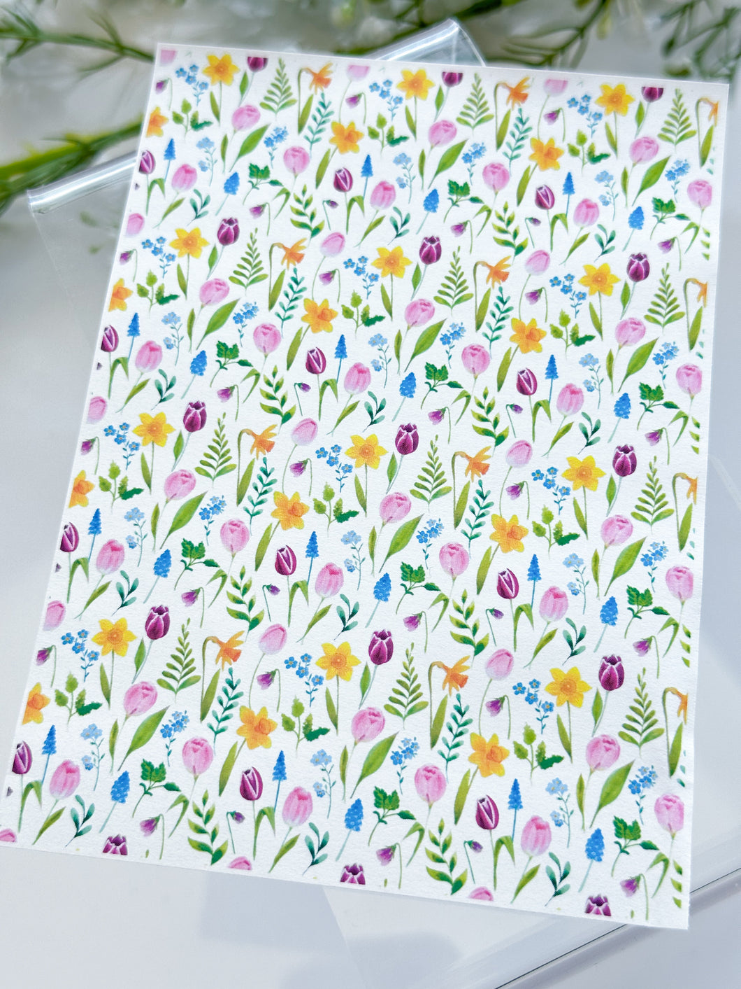 Transfer Paper 311 Tulip Field | Image Water Transfer