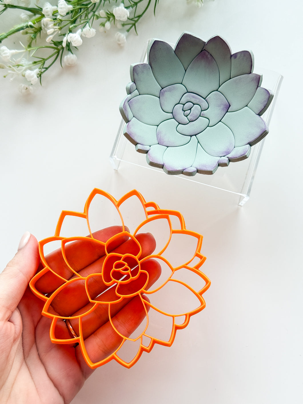 succulent cutters Succulent Trinket Dish/Coaster Clay Cutter PCC1657 – Tera Clay