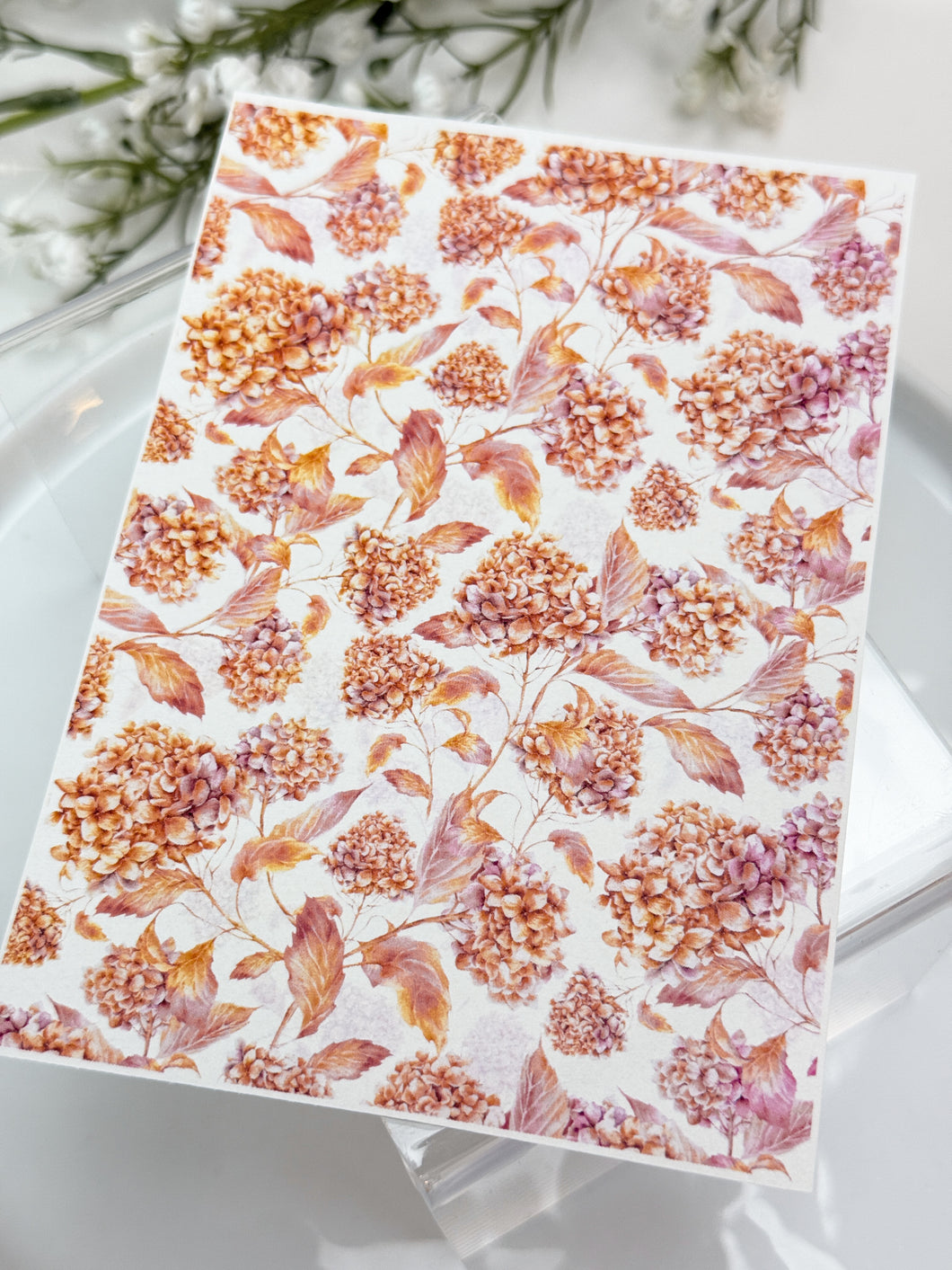 Transfer Paper Sheet 522 Orange Hydrangea | Image Water Transfer