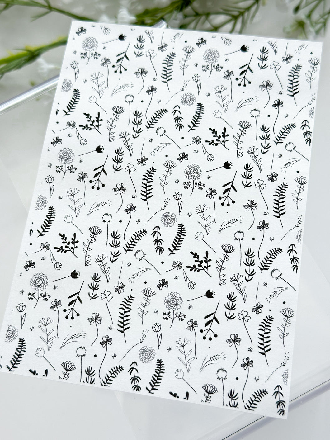 Transfer Paper 283 B&W Flowers | Image Water Transfer