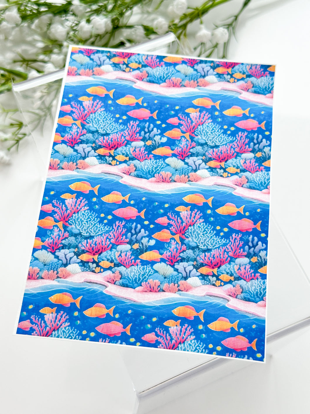 Transfer Paper 379 Underwater | Image Water Transfer