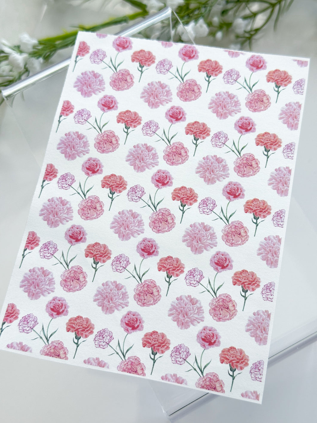 Transfer Paper 268 Carnation Flower | Image Water Transfer