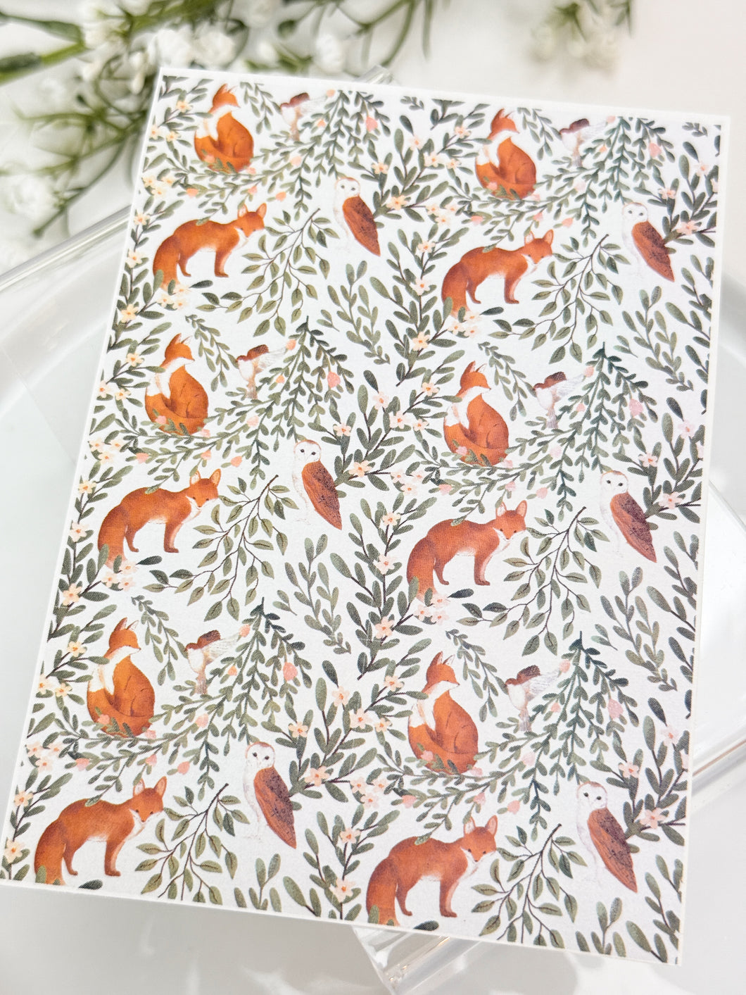 Transfer Paper Sheet 518 Foxes & Owls | Image Water Transfer