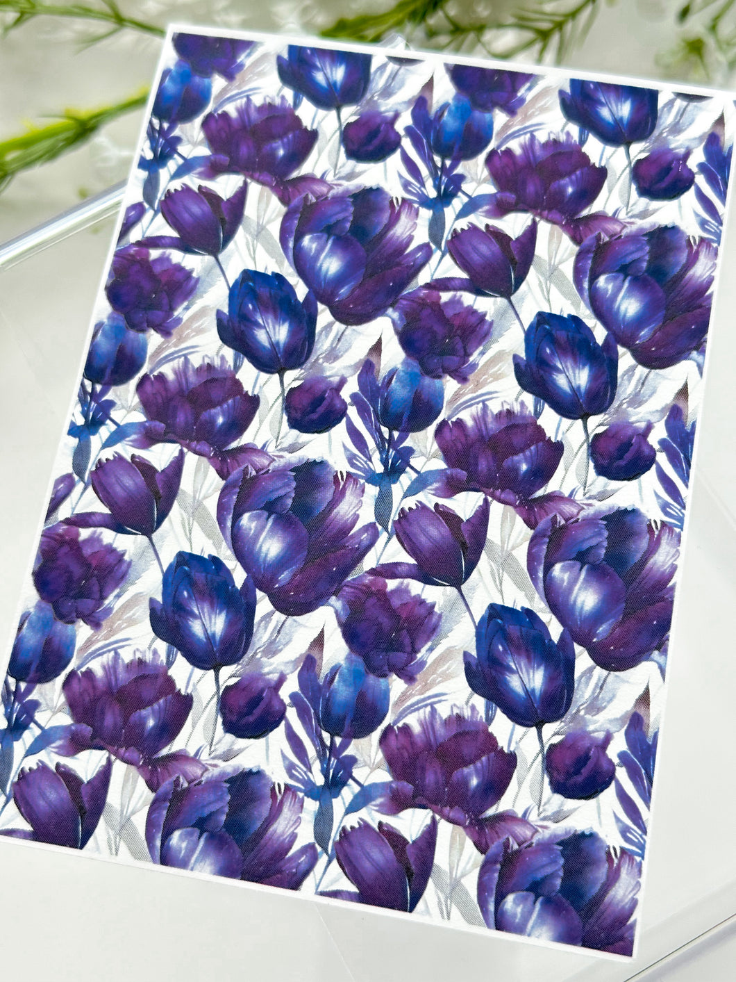 Transfer Paper 285 Purple Tulips | Image Water Transfer