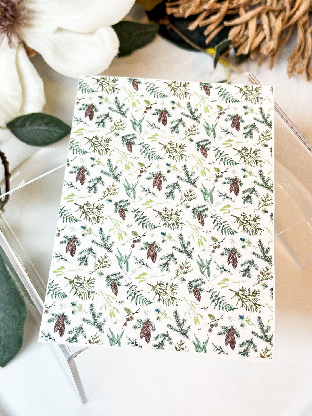 Transfer Paper 208 Christmas Foliage | Image Water Transfer