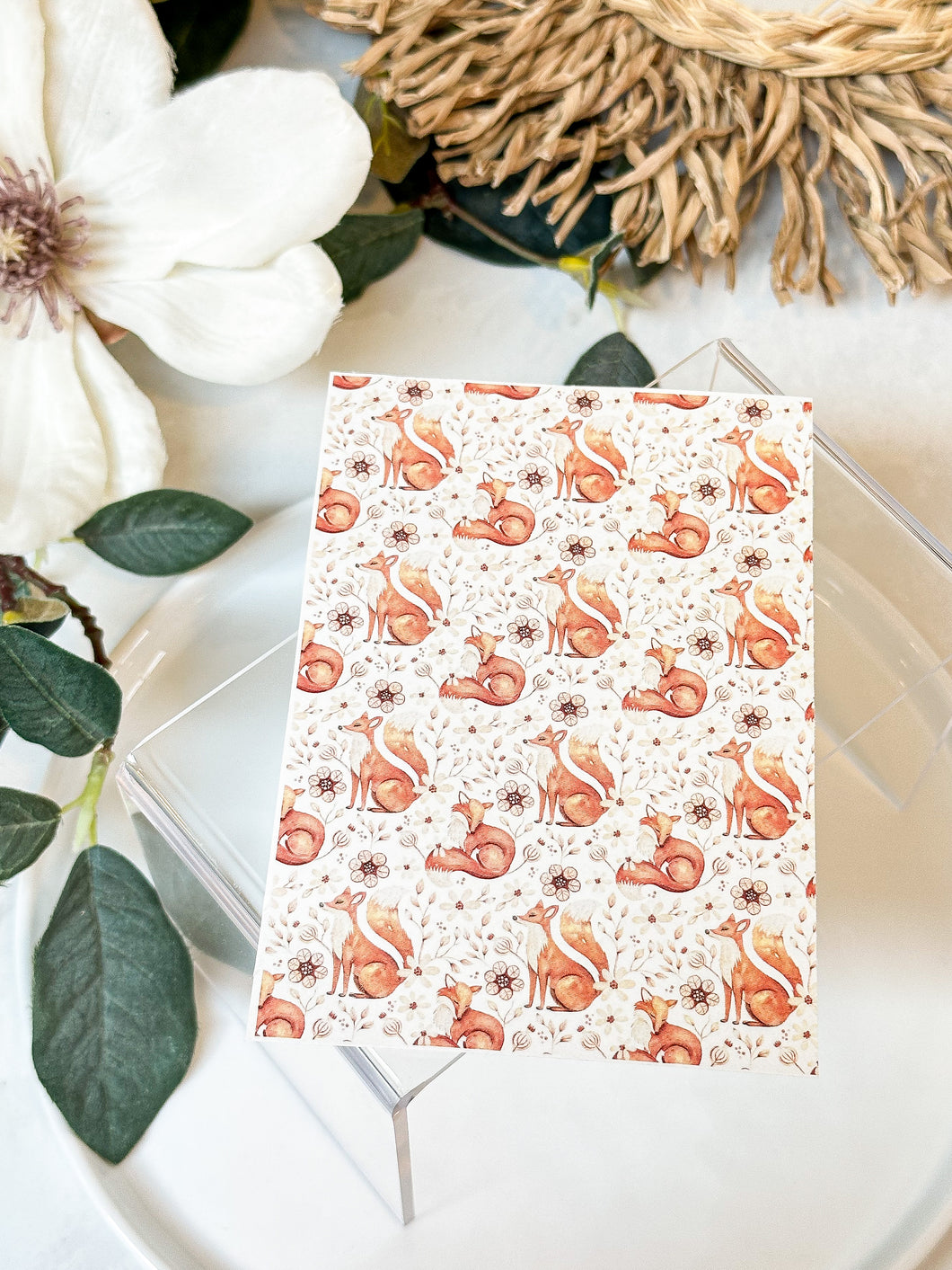 Transfer Paper 189 Foxes in the Fall | Image Water Transfer