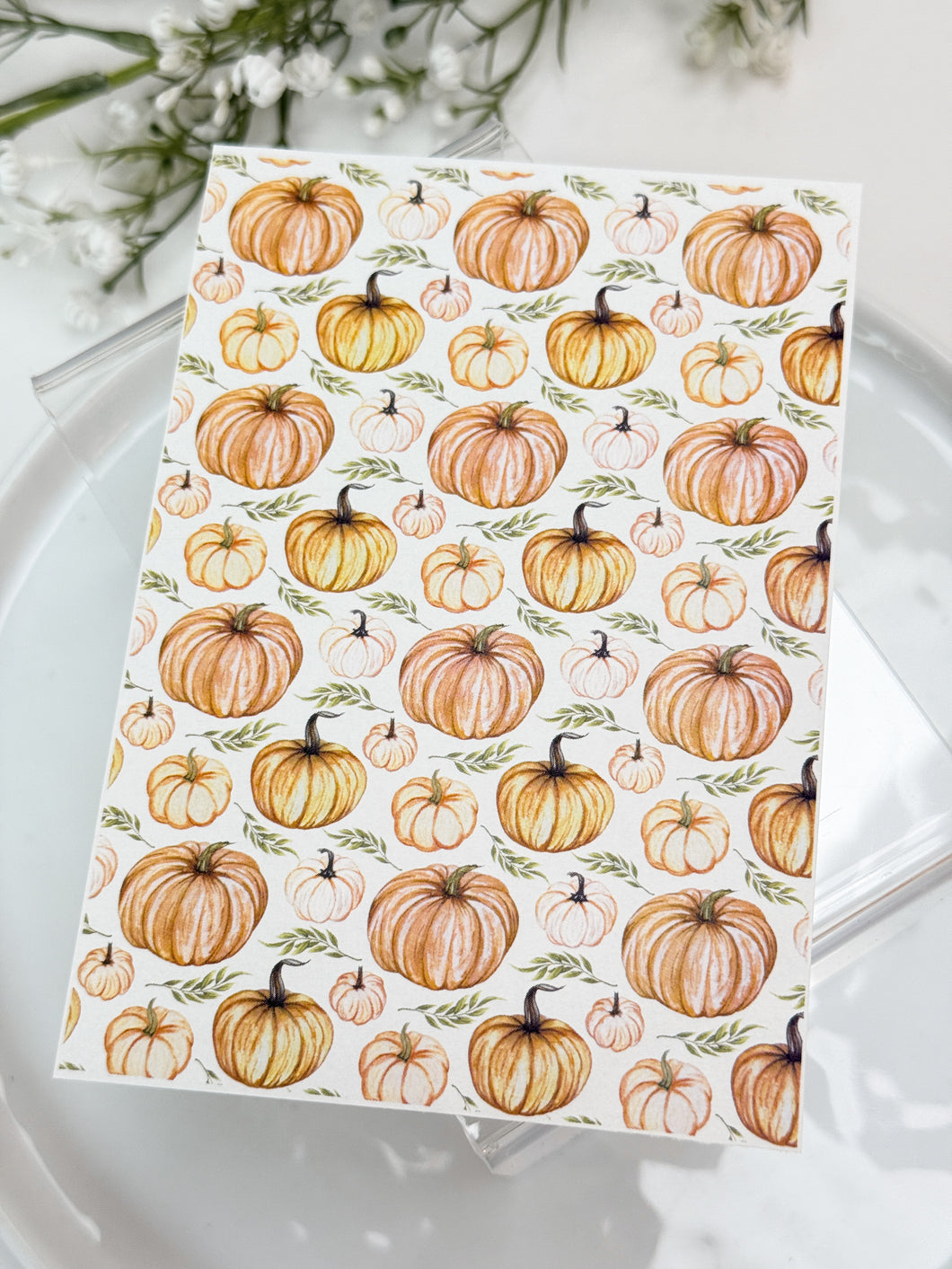 Transfer Paper Sheet 527 Pumpkins | Image Water Transfer