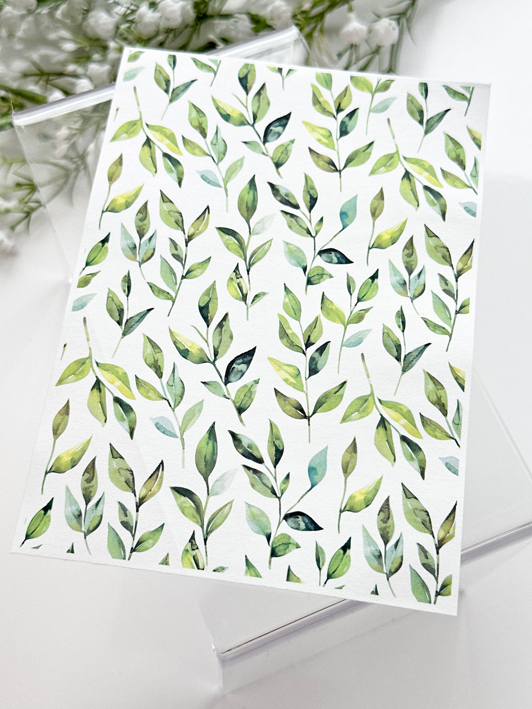 Transfer Paper 382 Watercolor Leaves #4 | Image Water Transfer