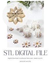 Load image into Gallery viewer, -STL Digital File- Daisy 2026 Detailed Polymer Clay Cutter PCC1805
