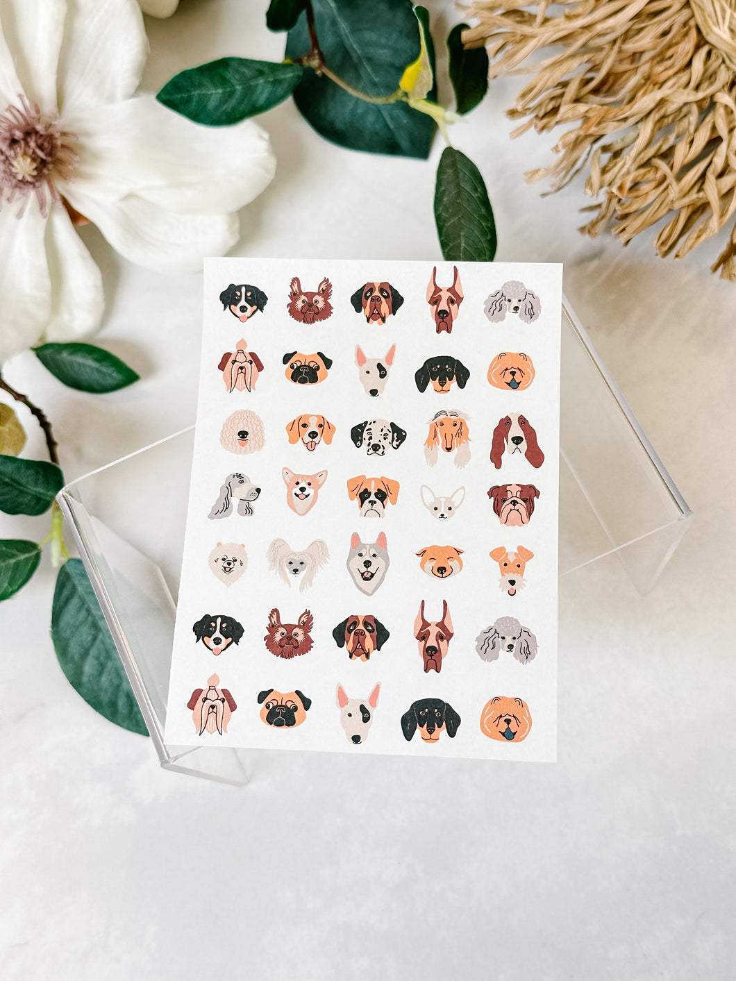 Transfer Paper 177 Dogs | Image Water Transfer