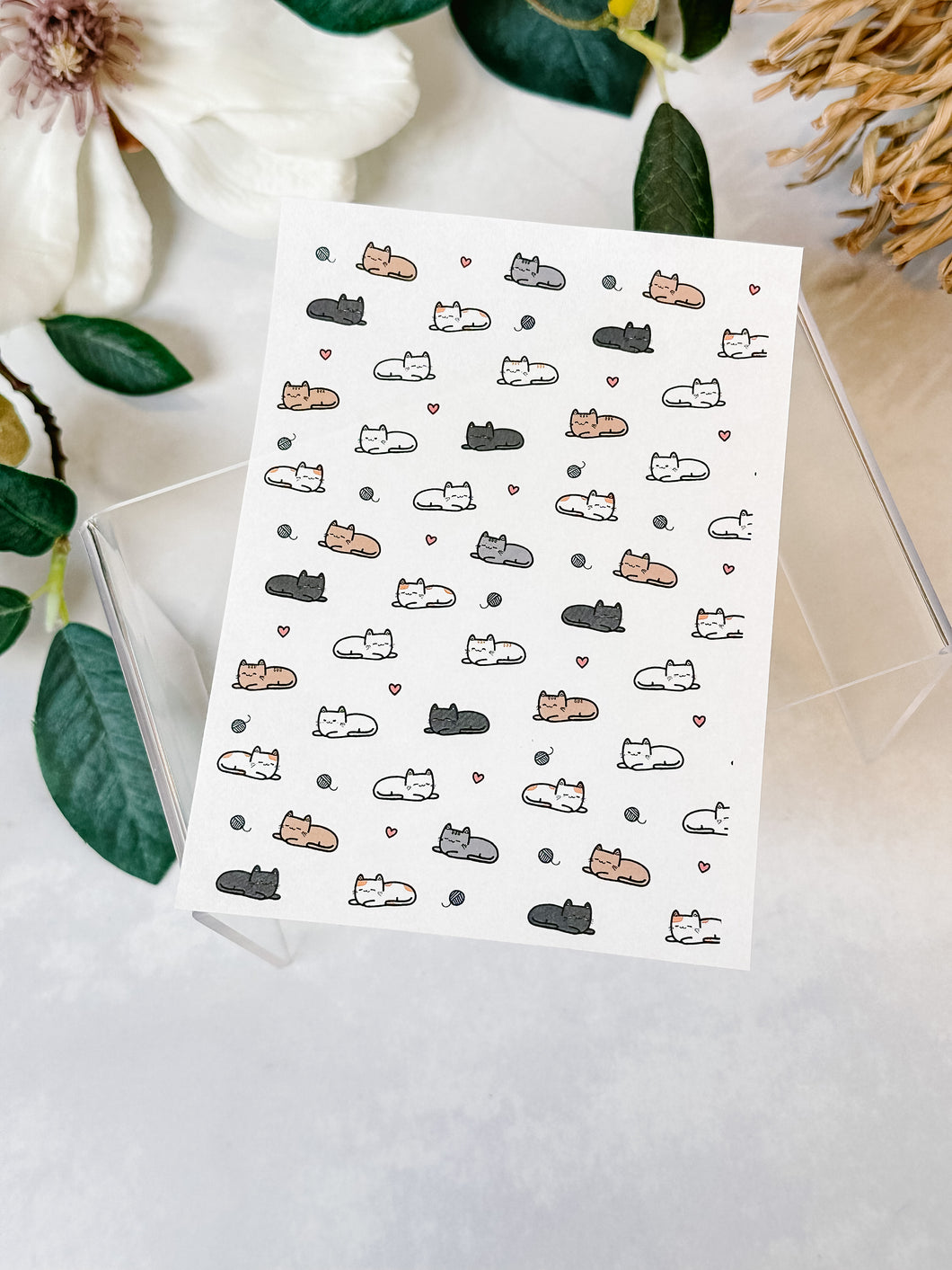 Transfer Paper 181 Cats #2 | Image Water Transfer