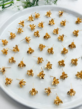 Load image into Gallery viewer, 18K Gold Plated Amaryllis Flower Stud Post with Loop
