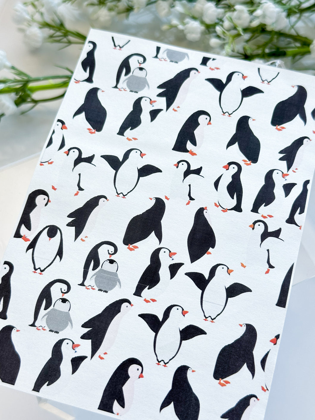 Transfer Paper 430 Penguins #1 | Image Water Transfer