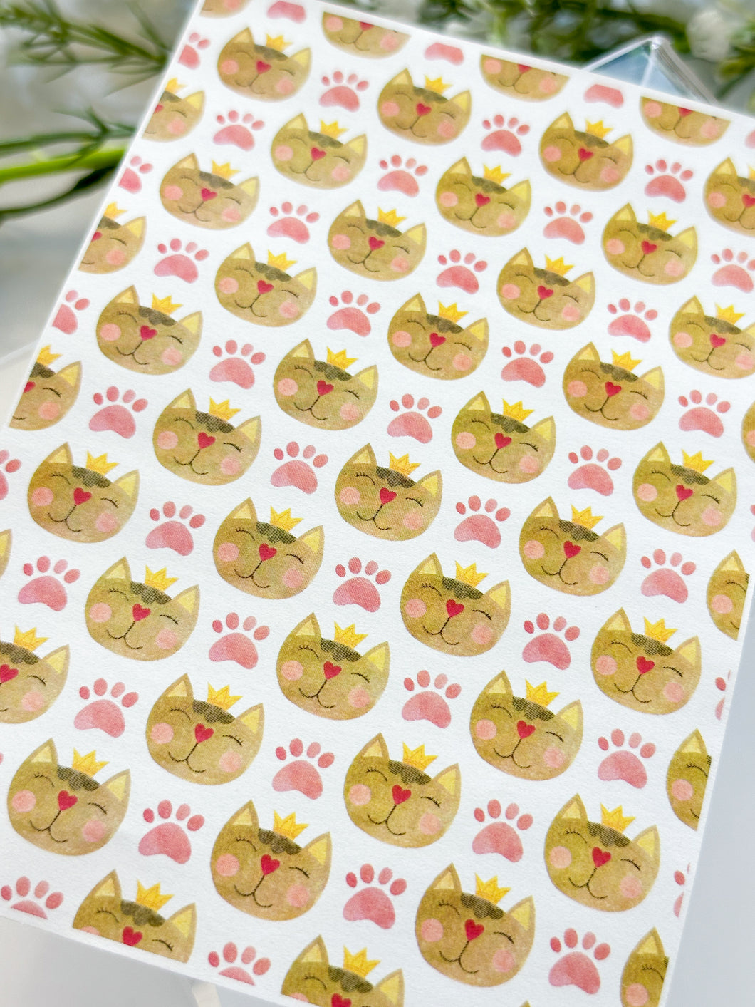 Transfer Paper 419 Kitty Cat Queen | Image Water Transfer