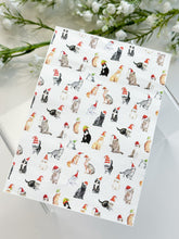 Load image into Gallery viewer, Transfer Paper 416 Festive Kitty Cat | Image Water Transfer
