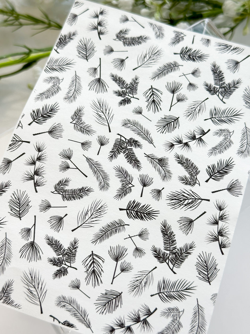 Transfer Paper 412 Black & White Leaves | Image Water Transfer