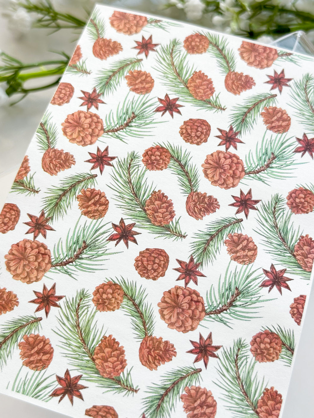 Transfer Paper 410 Pinecone #1 | Image Water Transfer