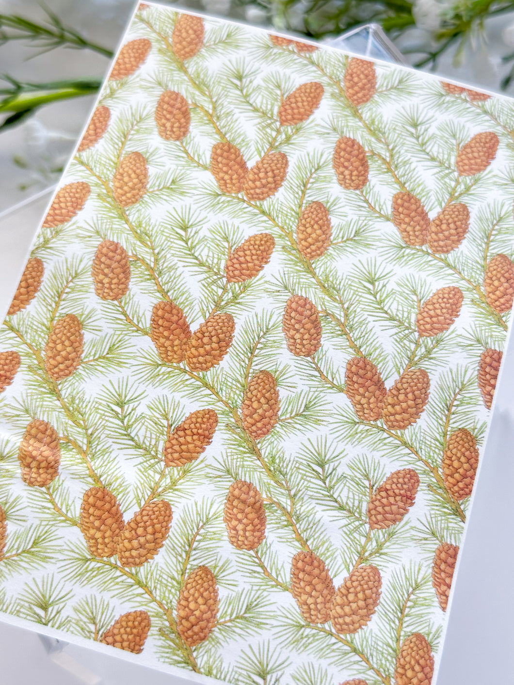 Transfer Paper 409 Pinecone #2 | Image Water Transfer