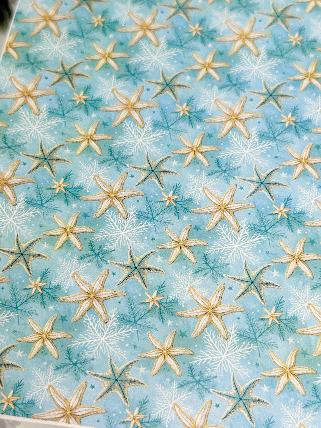 Transfer Paper Sheet 557 Starfish & Snowflakes | Image Water Transfer