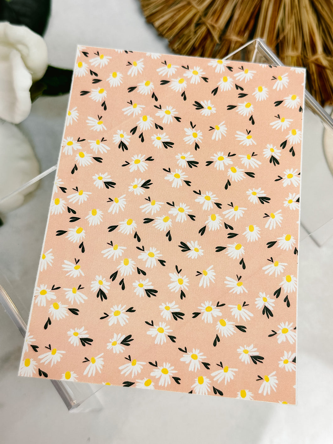 Transfer Paper 101 Daisies in Salmon | Floral Image Water Transfer