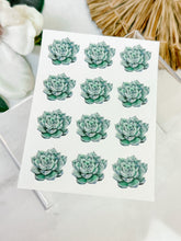 Load image into Gallery viewer, Transfer Paper 057 Single Echeveria | Floral Image Water Transfer
